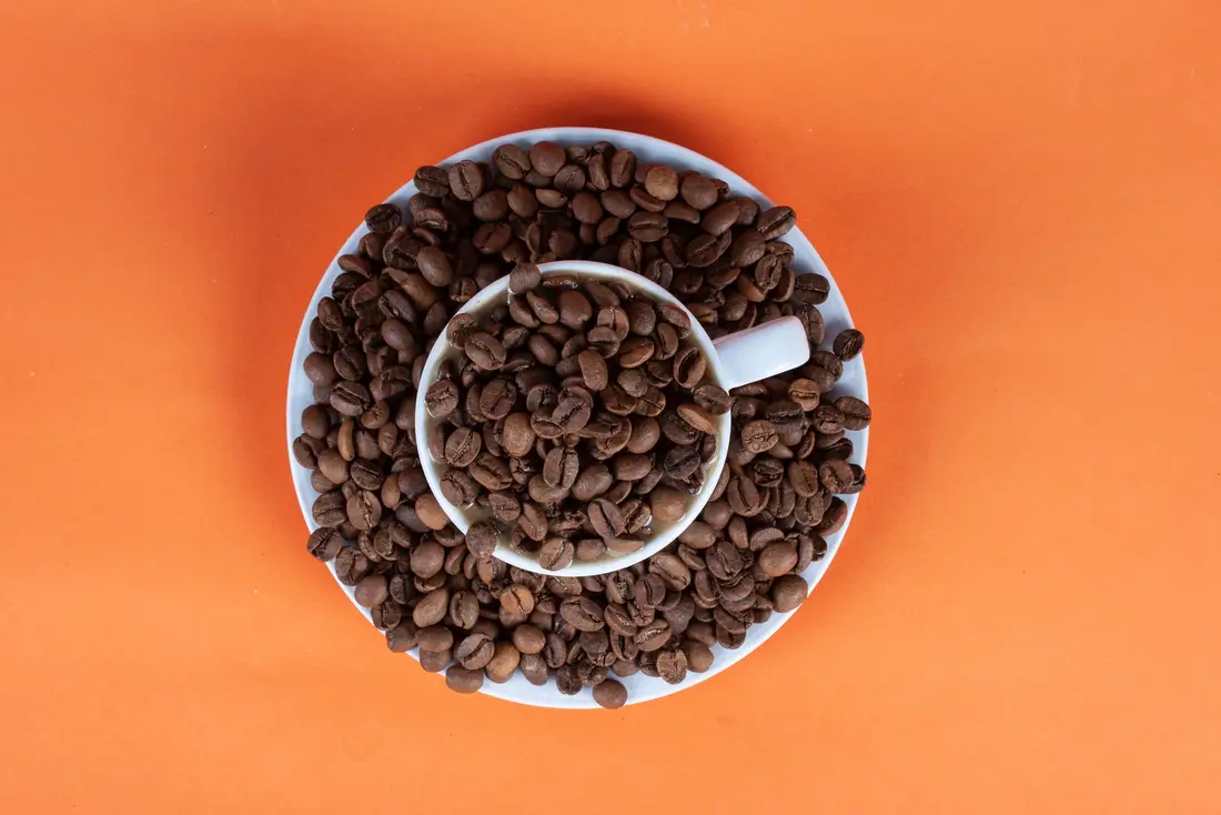Granos de café sobre fondo naranja