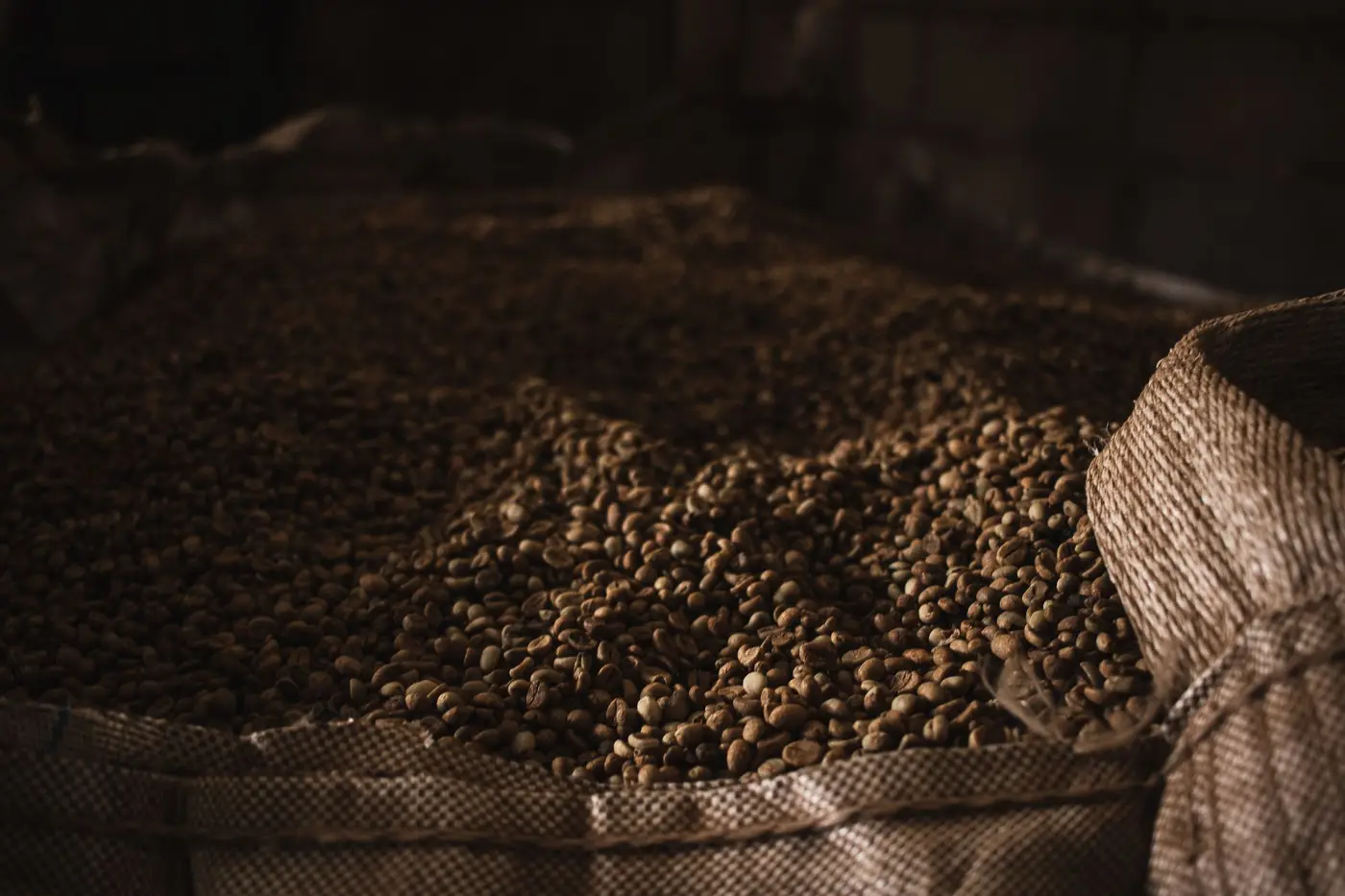 Granos de café en ambiente oscuro